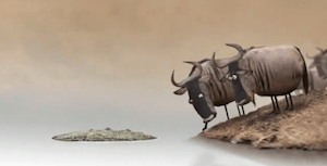 La constancia y los emprendedores